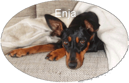 Enja